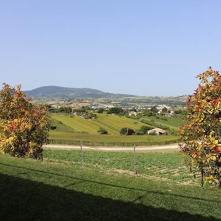 Villa Belvedere Degli Ulivi Osimo Bagian luar foto