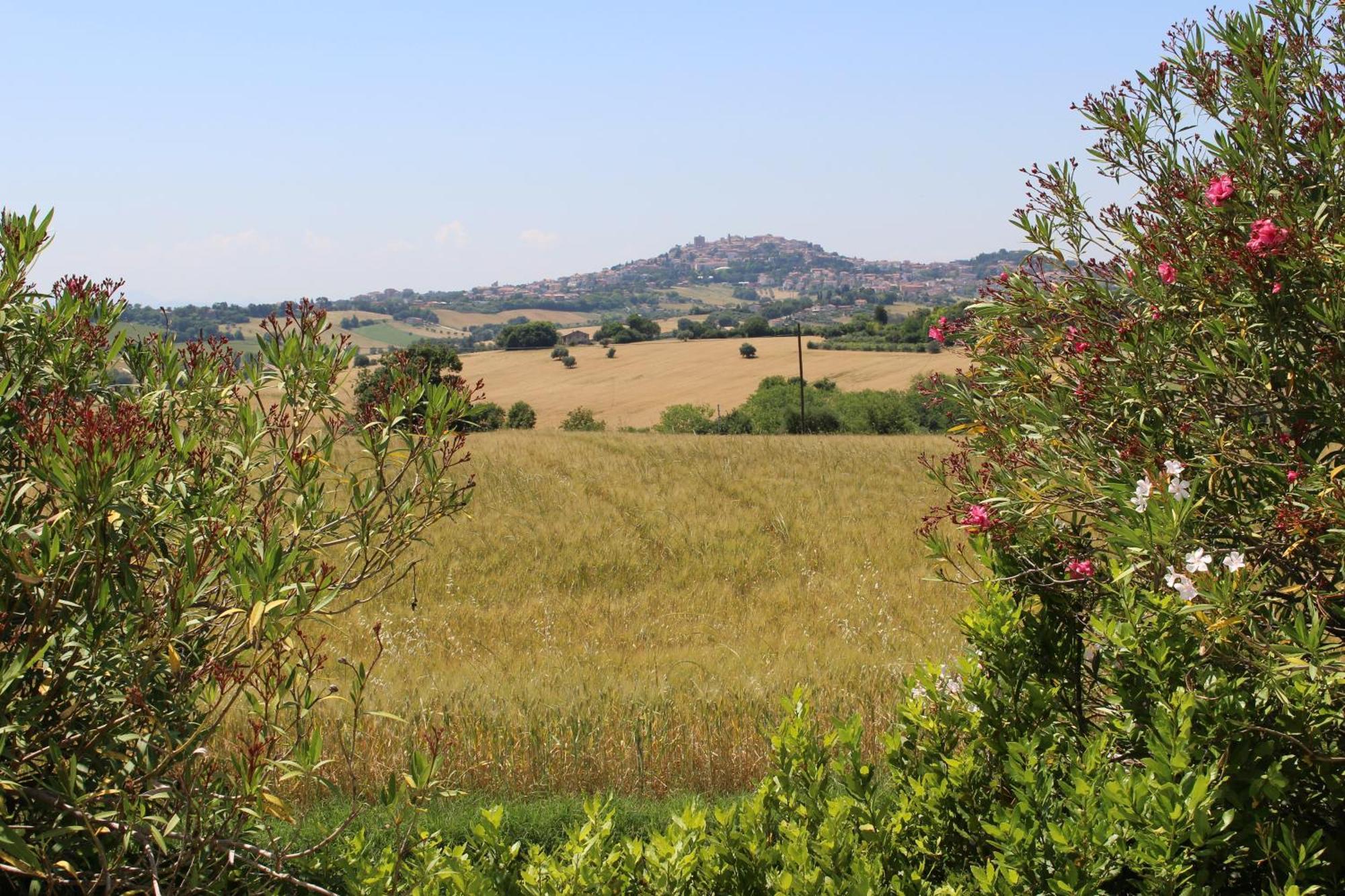 Villa Belvedere Degli Ulivi Osimo Bagian luar foto
