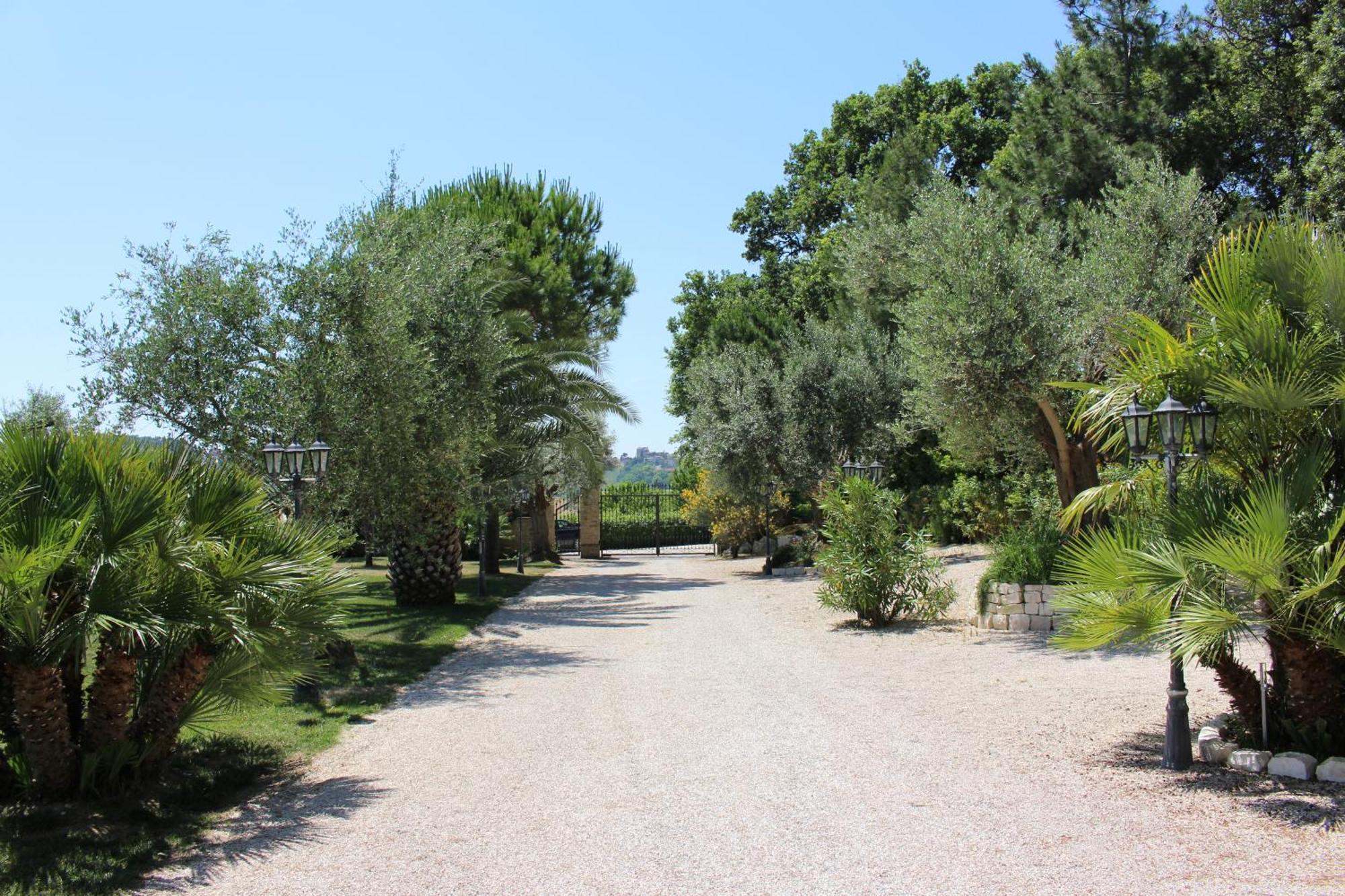 Villa Belvedere Degli Ulivi Osimo Bagian luar foto