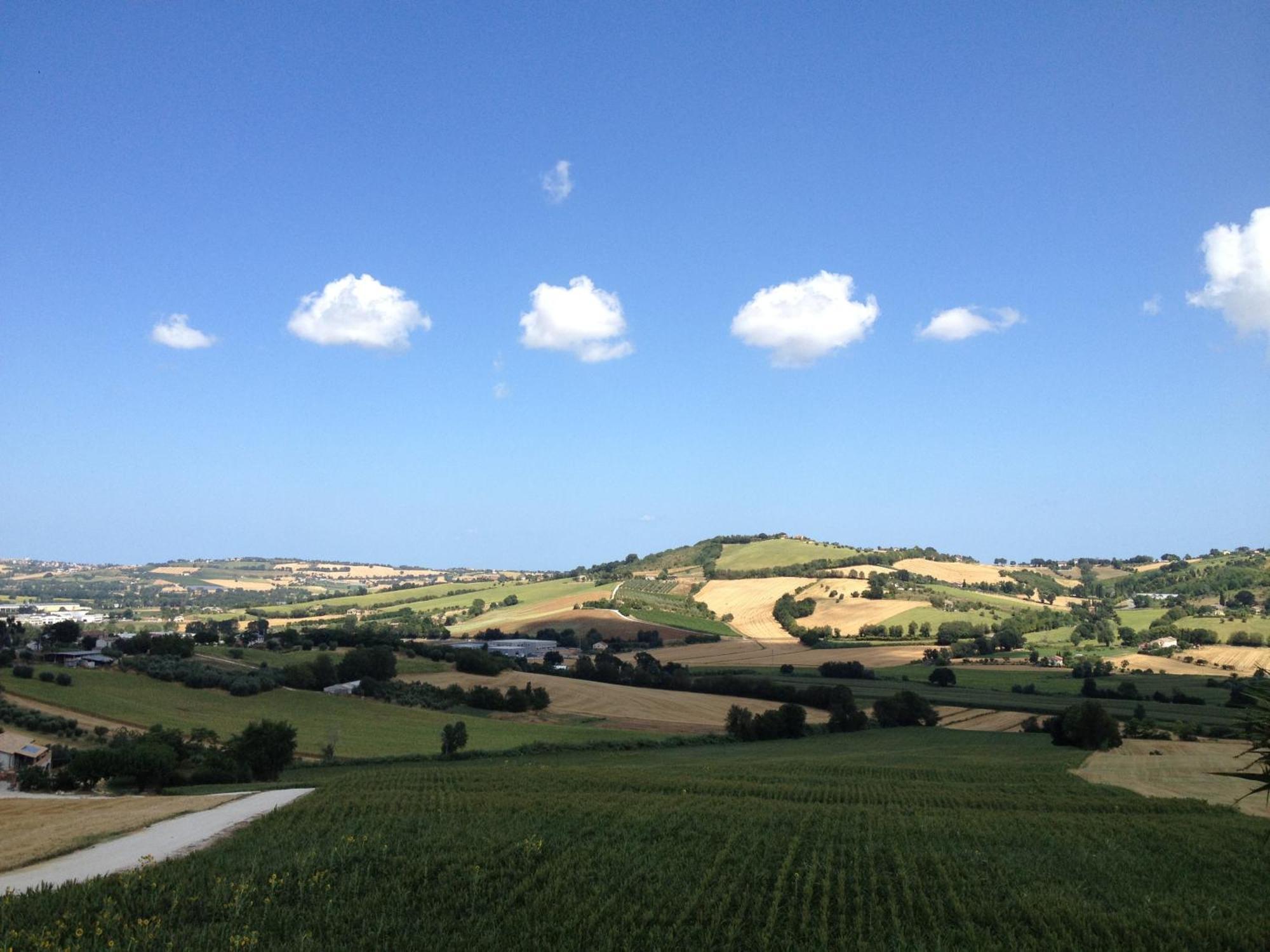 Villa Belvedere Degli Ulivi Osimo Bagian luar foto