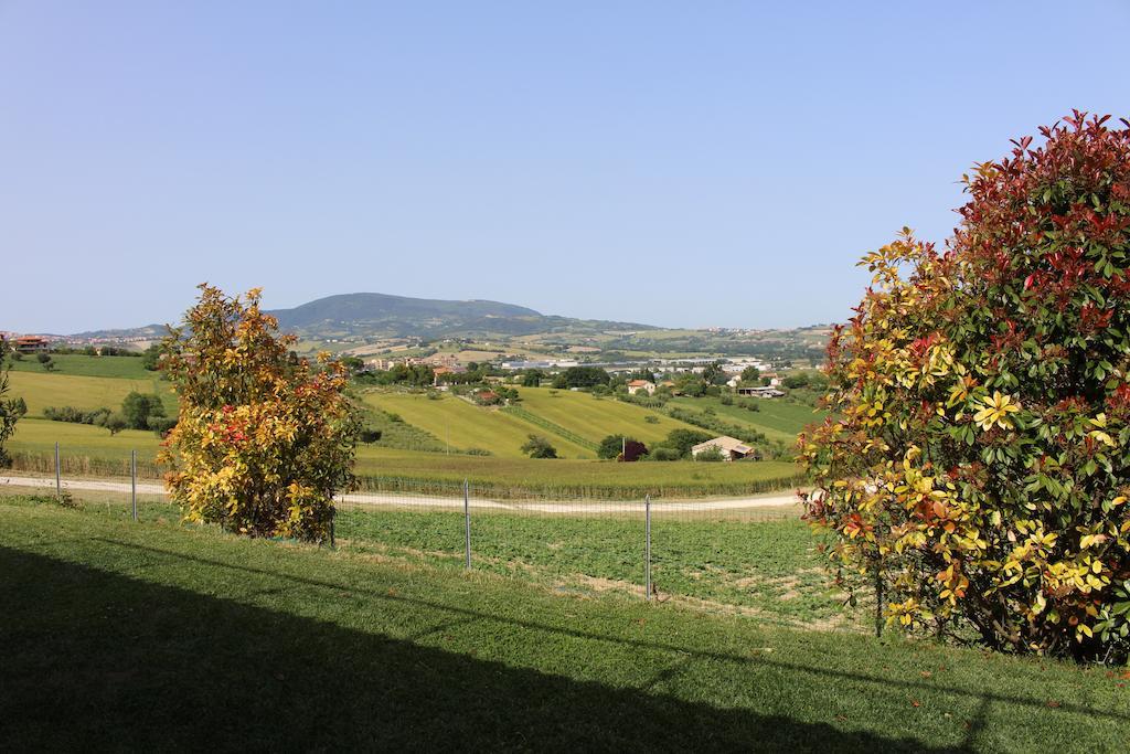 Villa Belvedere Degli Ulivi Osimo Bagian luar foto